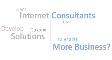 Want internet consultants that develop custom solutions to enable more business?